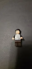 LEGO: Bruce Banner
