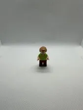 LEGO Shaggy Rogers Minifigure Scd003