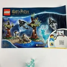 Lego Harry Potter 75945 Expecto Patronum - missing dementor capes