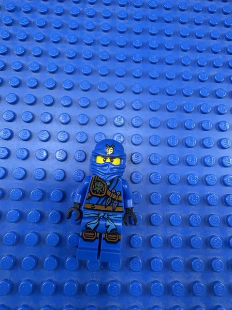 Lego Ninjago Jungle Robe Jay