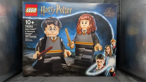 *New* LEGO Harry Potter: Harry Potter & Hermione Granger (76393)