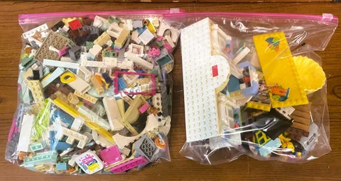 LEGO Friends Mixed Figures Bricks Bulk Lot Hundreds of Pieces