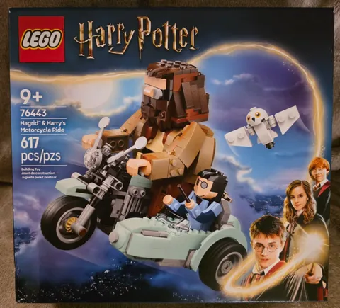 LEGO Harry Potter: Hagrid & Harry's Motorcycle Ride (76443)