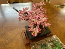 LEGO Botanicals: Bonsai Tree (10281) 100% complete