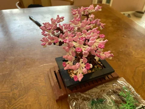 LEGO Botanicals: Bonsai Tree (10281) 100% complete