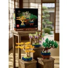 LEGO Botanicals 10373, Buildable Floral Display Model & Gift for Adults 18+
