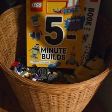 LEGO Bulk Lot Loose Bricks & Pieces w/ 5-Minute Builds Book, Boxed, 5+