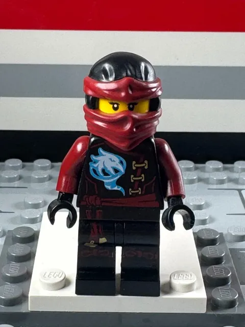 LEGO Ninjago Skybound Nya Minifigure njo0200 Authentic Retired EXCELLENT