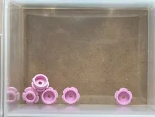 LEGO Parts - Bright Pink Plate, Round 1 x 1 Flower Edge - No 24866 - QTY 5