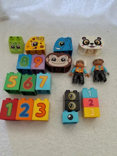 LEGO DUPLO Lot Of 21 Specialty Printed Bricks Blocks Plus 2 People