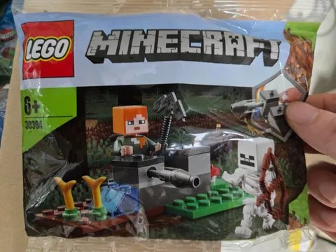 LEGO 30394는 Minecraft The Skeleton Defense