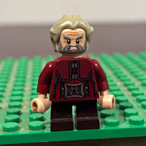 LEGO 79010 DORI Dwarf Minifigure The HOBBIT Goblin King Battle - SOLD as SHOWN