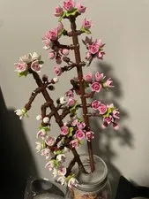 LEGO Botanicals: Cherry Blossoms (40725)