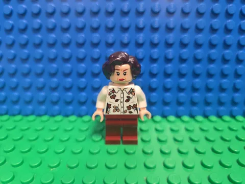 Lego Petunia Dursley Minifigure Harry Potter 75968 hp217 CMF Lot Rare Retired 