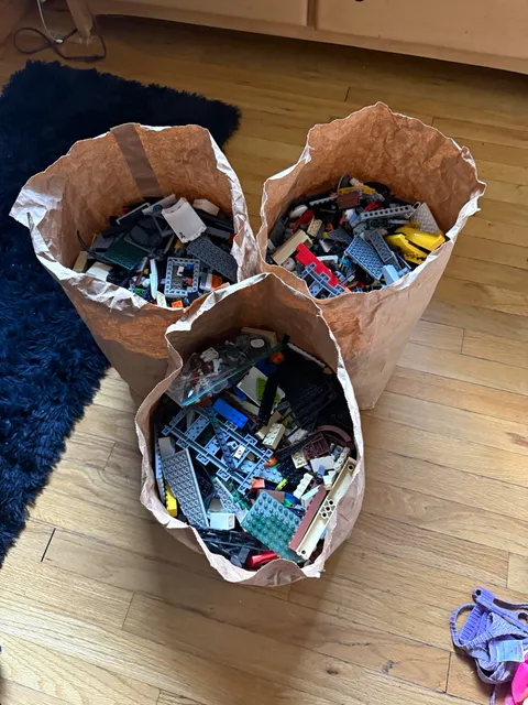 LEGO Bulk Lot – 1 LB Random Assorted Bricks, Plates & Parts