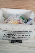 10+ Pounds Of Lego Pieces - Organized by color SEE PHOTOS!