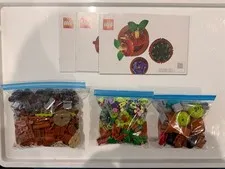 LEGO Tiny Plants 10329 Botanical Collection Complete Pre-Owned Set
